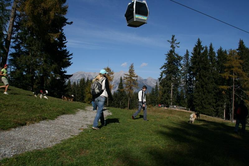 2008_Oktober_Wandertag044.JPG