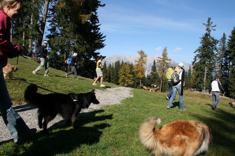 2008_Oktober_Wandertag046.JPG