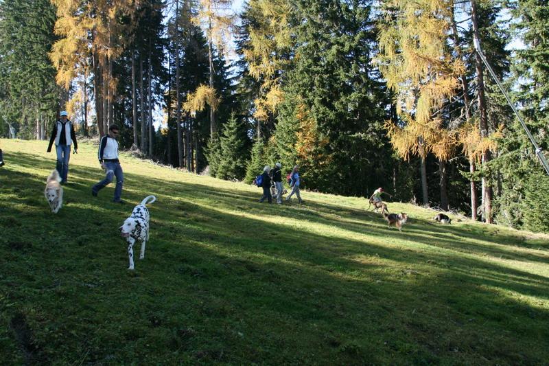 2008_Oktober_Wandertag047.JPG