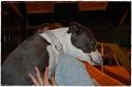 2009_Training_Februar030