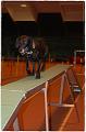2009_Training_Februar037
