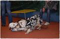 2009_Training_Februar065
